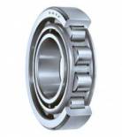 Roller Bearings